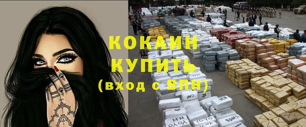 стаф Абинск