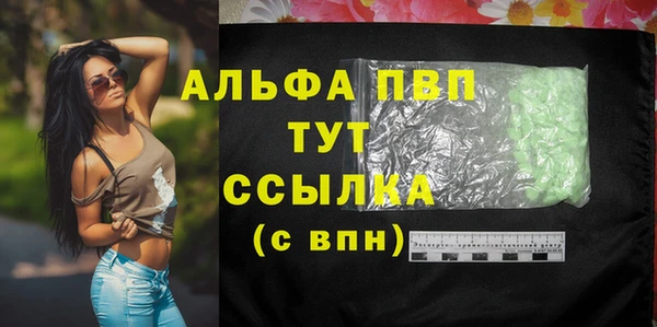 стаф Абинск
