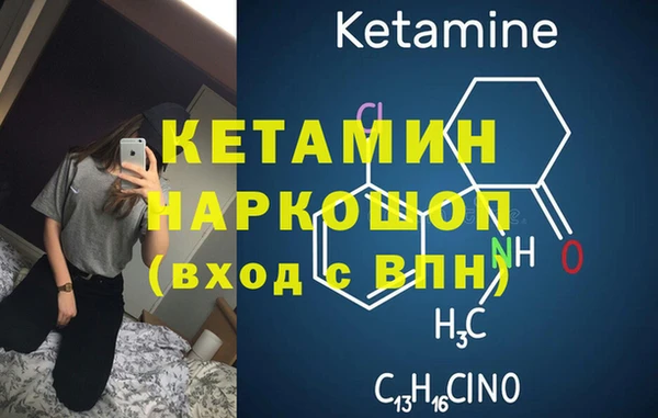сатива Абаза