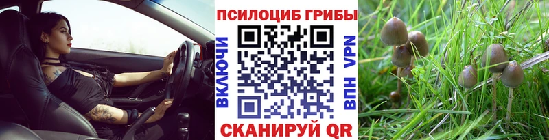 kraken рабочий сайт  Белоусово  Галлюциногенные грибы мухоморы 